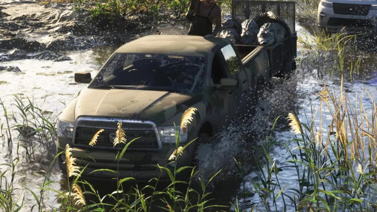 Bison