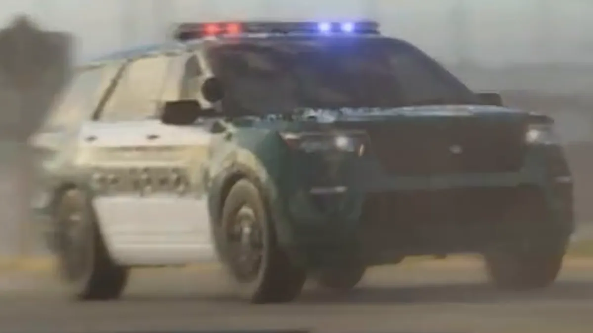 Vapid Police