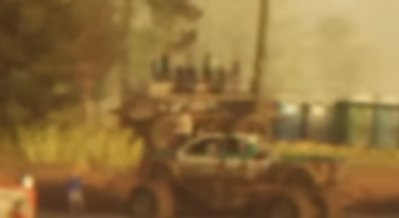 Swamp Buggy